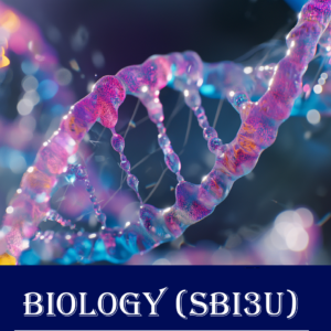SBI3U – Biology, Grade 11 (University Preparation)