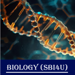 SBI4U – Biology, Grade 12 (University Preparation)
